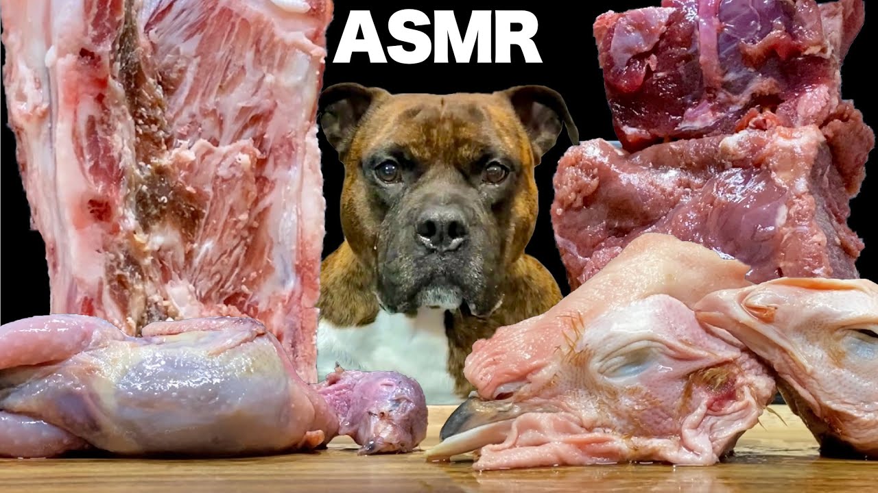 大食い犬asmr 羊の背骨を噛み砕きダチョウ鶏頭ウズラは飲み物と化す Dog Eats Raw Meat And Bones Youtube