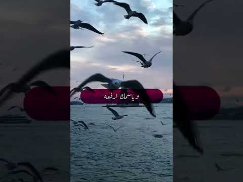 ب اس م ك ر ب و ض ع ت ج ن ب ي و ب ك أ ر ف ع ه دعاء قبل النوم