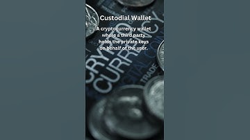 Custodial Wallet | Must-Know Cryptocurrency Terms Explained Simply