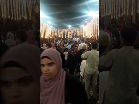 الإحتفال بمولد سيدى طلحه ابى سعيد التلمسانى بمدينه كفر الشيخ ٢٠٢٣