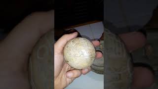 Piezas De Ojuelos Con Grabados Extraterrestres Increibles