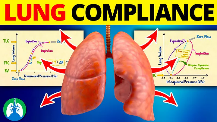 Lung Compliance (Medical Definition) | Quick Explainer Video