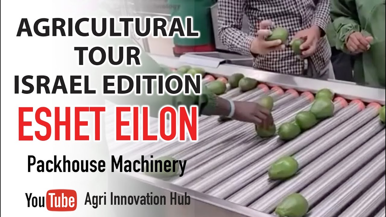 Our Agricultural tour to ISRAEL, ESHET EILON, famous for sorting & grading agricultural products.