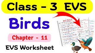 Birds Class 3 Science | Class 3 EVS Worksheet| Birds Around Us Class 3| Class 3 Science Syllabus