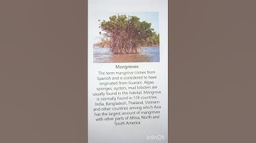 Types of Forests ✨️ #youtubeindia #generalknowledge #forest #information  #environment #nature