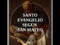 CAPÍTULO 19 / SANTO EVANGELIO SEGÚN SAN MATEO.