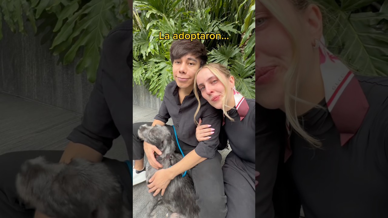 No vamos a parar hasta encontrár una familia ❤️ Adopta a ámbar al correo: adoptaambar@outlook.com