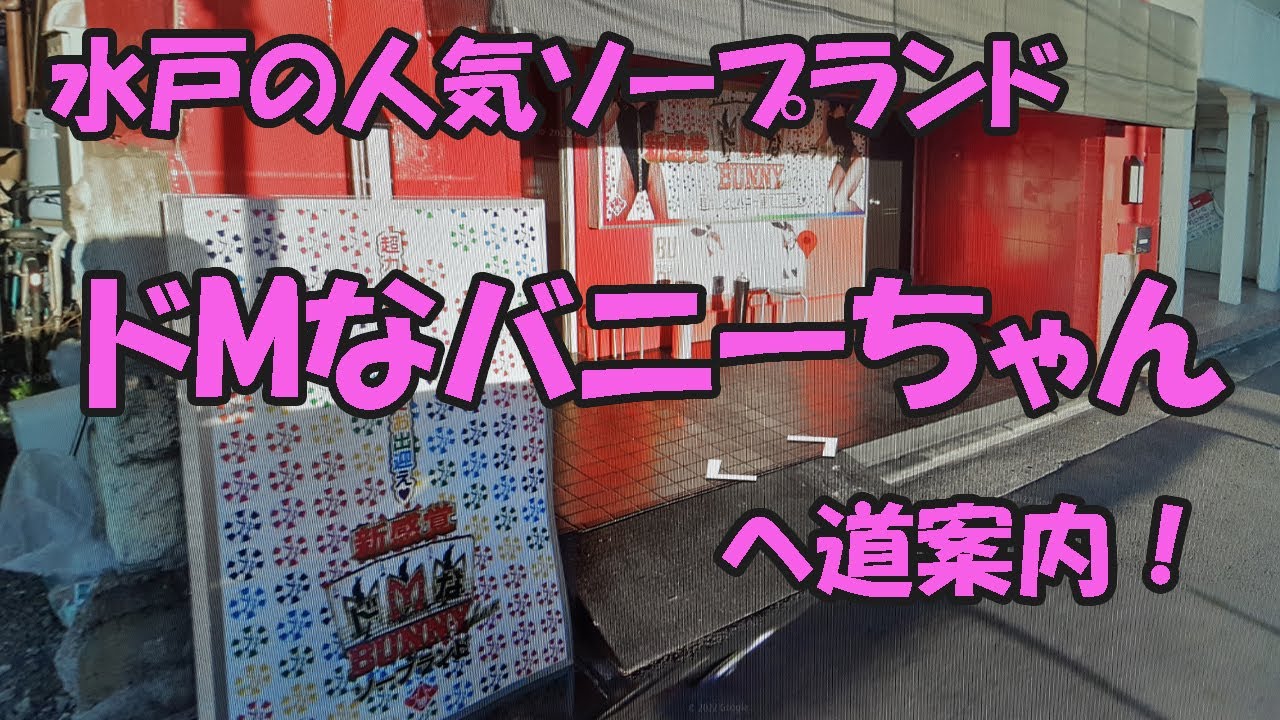 ド m な バニー ちゃん