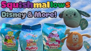 Wolfie Unboxes His Largest Squishmallow Merch: Includes Newest Disney Squishmallow Mystery Squad
