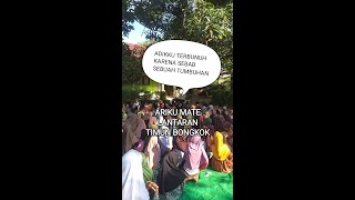 Adikku Dibunuh Ibu Tiri Gara-gara Timun Bongkok – Dongeng Lama yang Menggetarkan Hati