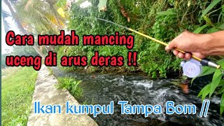 Download lagu cara mancing uceng di arus deras !! ikan ngumpul  tanpa Bom //#mancingmania #uceng#microfishing