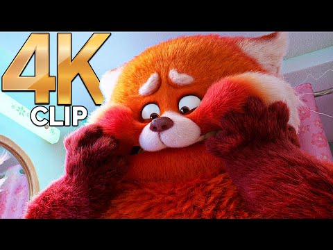 First Giant Red Panda Transformation Scene | TURNING RED (2022) Movie CLIP 4K