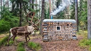 Download Lagu My First Night Alone in My Cozy Log Cabin. I Found a Bear Den MP3 Download Lagu My First Night Alone in My Cozy Log Cabin. I Found a Bear Den MP3