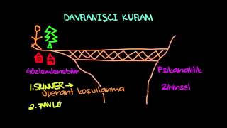 Davranışçı Kuram Psikoloji Davranış 