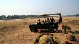 South Luangwa Mchenja Camp - Norman Carr Safaris