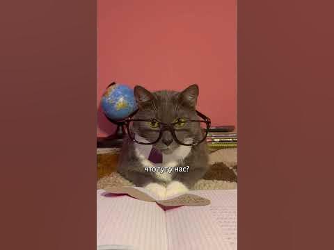 КОТИКИ В ШКОЛЕ - ДЕНЬ СВЯТОГО ВАЛЕНТИНА - YouTube