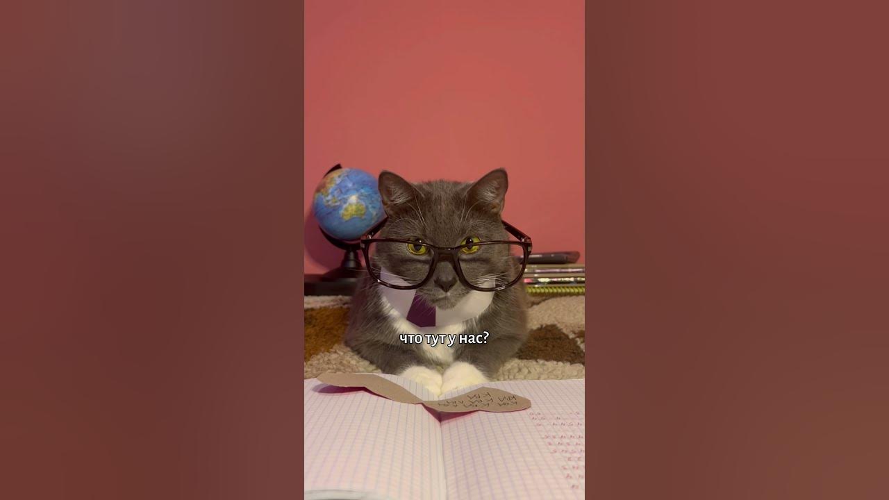 КОТИКИ В ШКОЛЕ - ДЕНЬ СВЯТОГО ВАЛЕНТИНА - YouTube