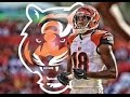 AJ Green ||