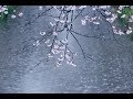 村下孝蔵 『春雨』