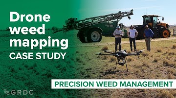Drone weed mapping case study: Precision weed management