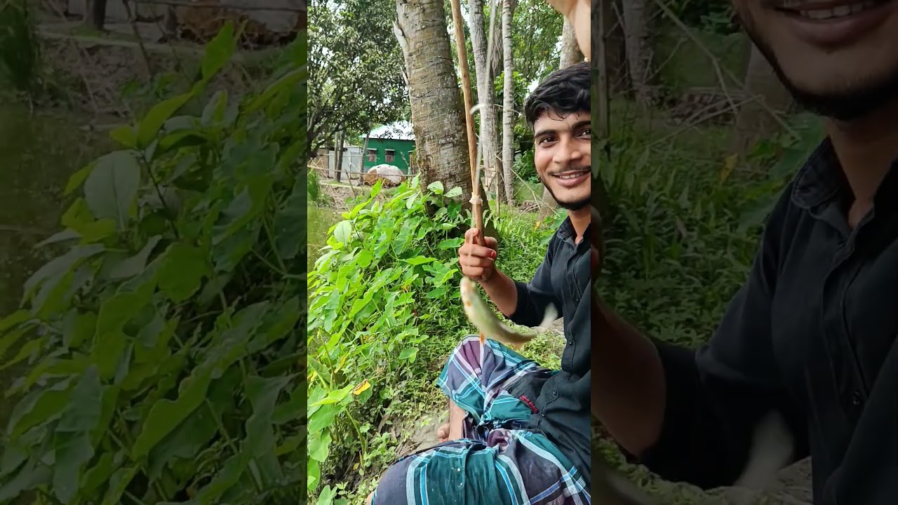 bosi der mass mara video