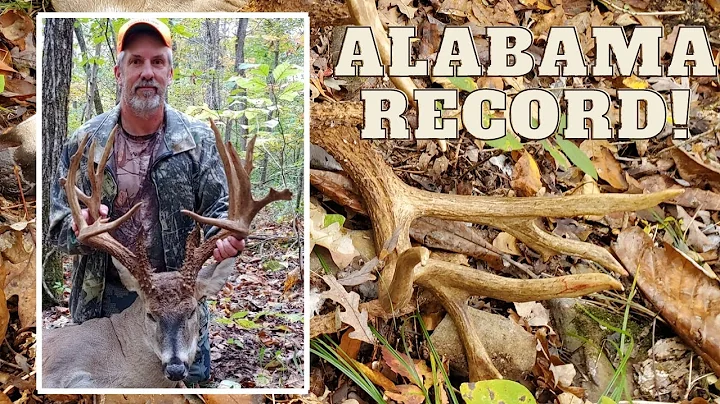 MOUNT reveal | PUBLIC LAND GIANT!! 195 6/8 INCH RECORD