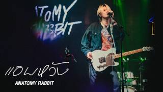 แอบหวัง - Anatomy Rabbit I Live at บ้านโนน อุดรธานี