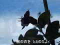 惜別の歌（昭和17年）鮫島有美子　Cover