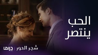 مسلسل شجر الحور| الحلقة 28| دوكاس يحتفل بخطوبة نيكوفورس وأسمينا