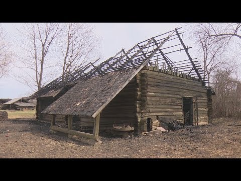 Video: Dabiskā ādas Sibīrijas Mēra Infekcija, Bet Nevakcinēšana, Izraisa CD4 + T šūnu Reakciju, Iesaistot Dažādus Citokīnus