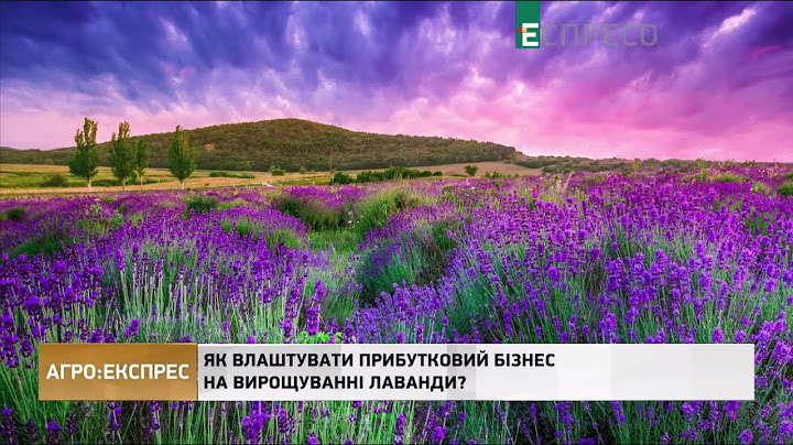 Как устроить прибыльный бизнес на выращивании лаванды? | Агро-Экспресс
