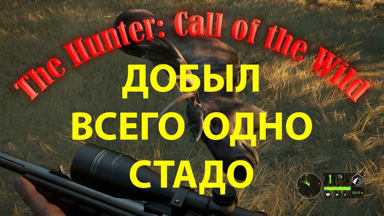 Симулятор охоты The Hunter: Call of the Wild Добыл всего одно стадо
