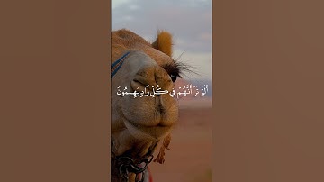 وَالشُّعَرَاءُ يَتَّبِعُهُمُ الْغَاوُونَ (224) أَلَمْ تَرَ.. (225) #raadalkurdi  #سورة_الشعراء