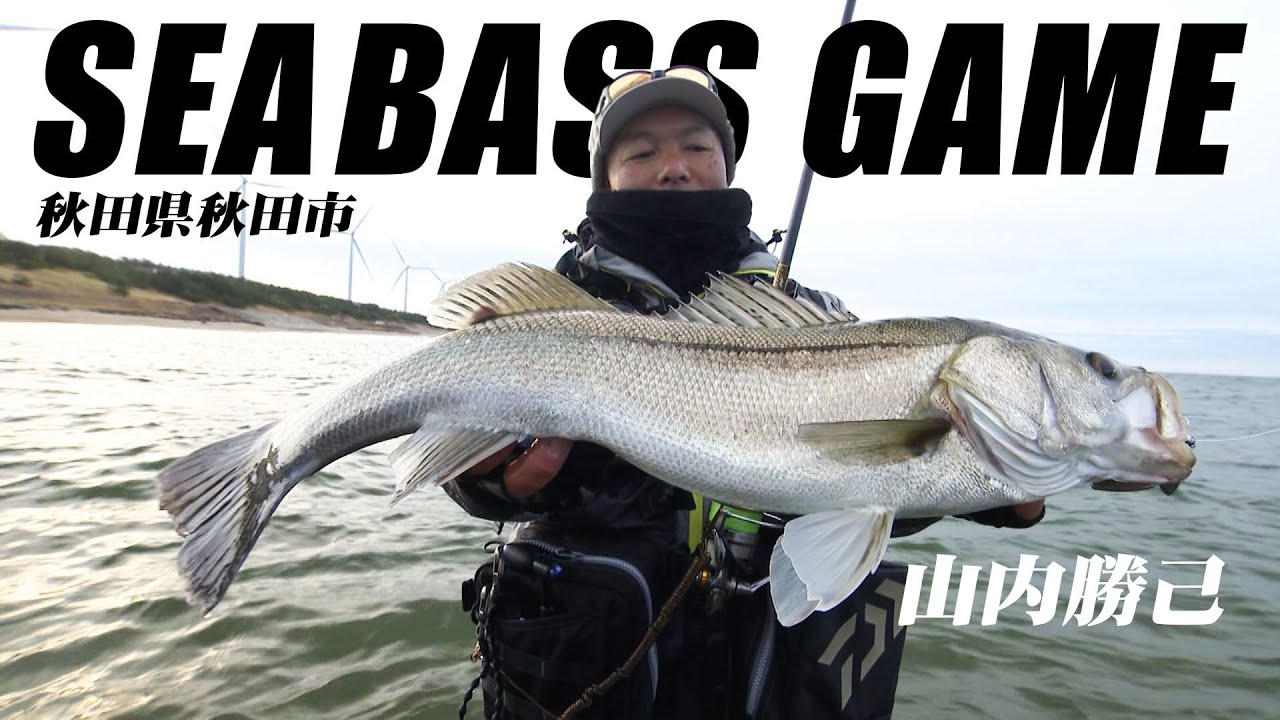 秋田県のサーフからランカーサイズを狙う！冬のシーバスゲーム 2/2 『Dz SALT 2ND 16』＜フルver＞【釣りビジョン】