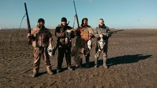 Охота на Гуся!!! Сезон 2017/ Hunting for the Goose 2017