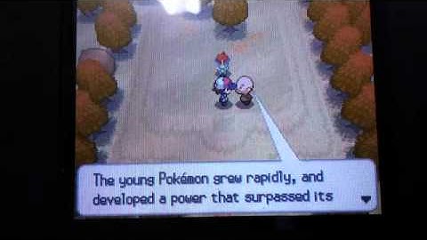 Keldeo event action replay code....