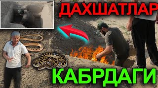 ДАХШАТ ! КАБРДАН ЧИККАН ИЛОН ВА ЧАЁН ХАКИДА ГУРКОВ БИЛАН СУХБАТ Насим Холов