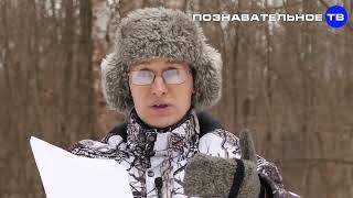 Загадочные храмы. Церковный генератор! Артём Войтенков...