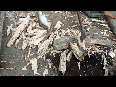 Video: Ang Finnish Axe: Ano Ang Mga Tampok Ng Palakol Ng Finnish? Paano Pumili Ng Isang Cleaver Na May Isang Offset Center Para Sa Kahoy Na Panggatong?