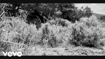 Drink The Sea - Sacred Tree