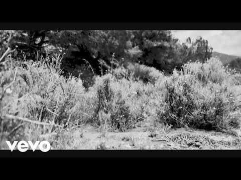 Drink The Sea — Drink The Sea - Sacred Tree