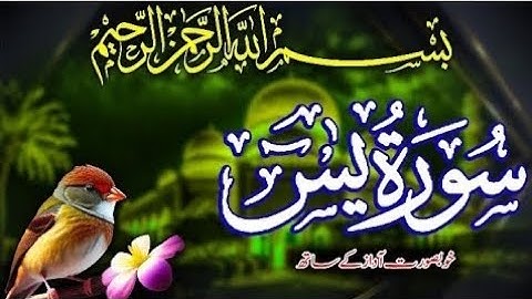 سوره یاسین با صدای زیبا | تلاوت روزانه قرآن کریم | قسمت 010 #ویدیو #تلالوات_وایرال #فیلم