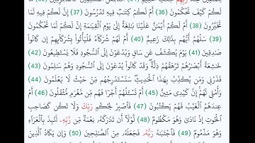 سورة القلم اية 34 - 52 مكررة | فضيلة الشيخ ياسر الدوسري