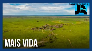 Qual é a paisagem do Pantanal?