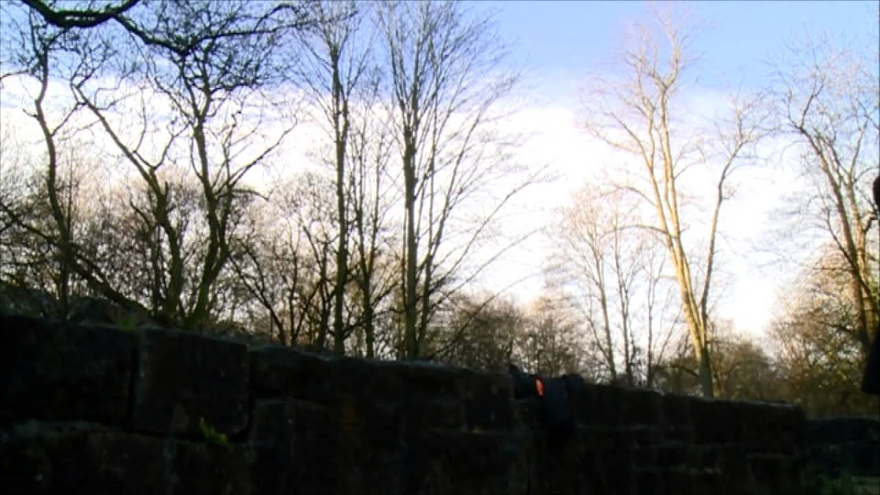 Vagabond Voices - Potter's Field - by Chris Dolan