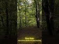 Top relaxing sleep music tracks