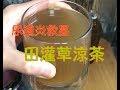 田灌草涼茶 尿道炎救星 簡單做法