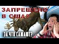 за ЧТО СРОК в США? УЖАСНЫЕ ЗАКОНЫ, хочется УЕХАТЬ! КАК напуганы американцы!