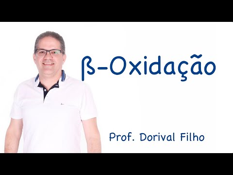 Vídeo: O que o carboidrato é oxidado?