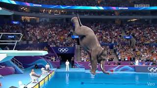 🐘 Elephant Nails Olympic Dive with Perfect Form!
